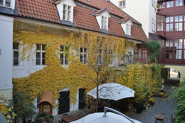the house-fall-2010-001