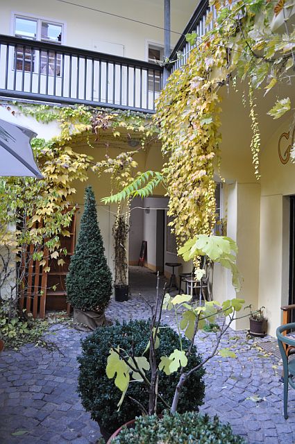 House-fall-2010-005