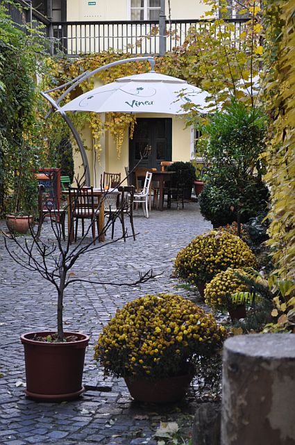 House-fall-2010-009