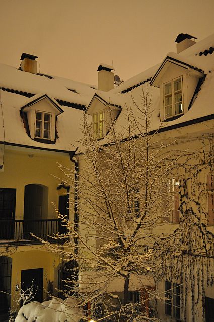 Winter-year 2010-023