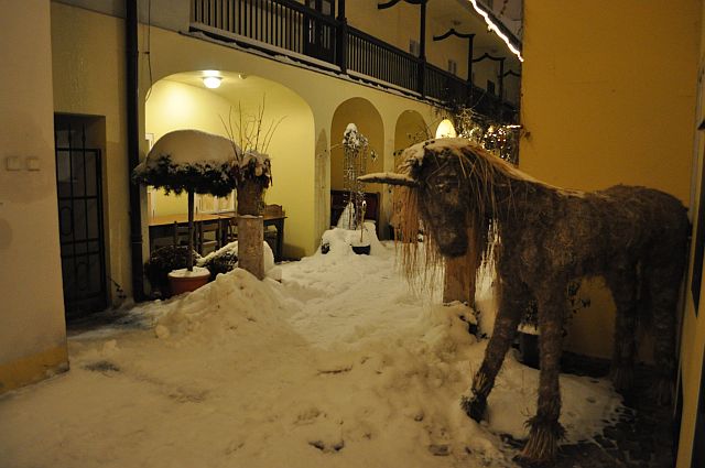 Winter-year 2010-024