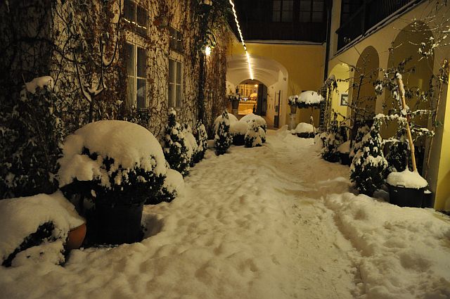 Winter-year 2010-026