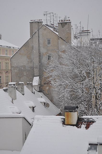 Winter-year 2010-032