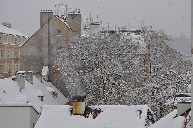Winter-year 2010-033