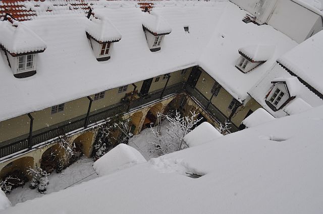 Winter-year 2010-034